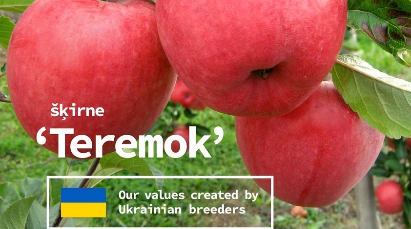 LAA nosoda Krievijas uzsākto karadarbību Ukrainā, agresiju pret brīvu valsti un tās iedzīvotājiem
